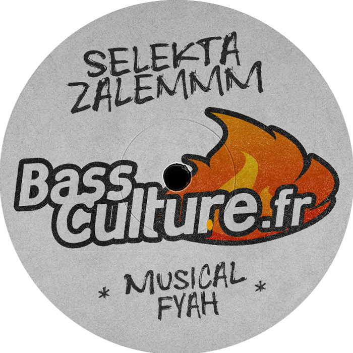 logo basculture vinyl player