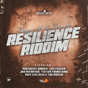 Resilience Riddim